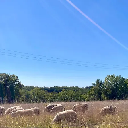 بيت للعطل L'oasis Du Quercy